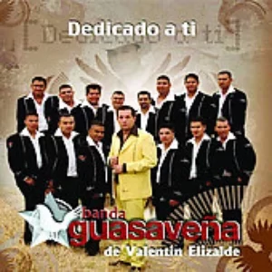 banda guasaveña de valentin elizalde discografia descargar