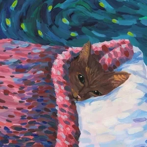 cavetown discografia descargar