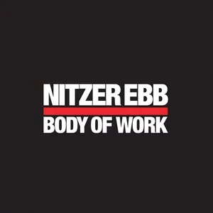 nitzer ebb discografia descargar