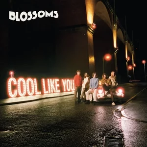 blossoms discografia descargar